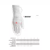 Rukavice na motorku Alpinestars GP plus R V2 black