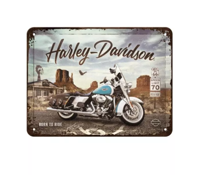 Cedule 15x20 Harley-Davidson Route 66 Road King Classic