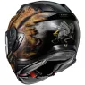 Helma na moto Shoei GT-Air II Deviation TC-9