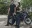 Kevlarové džínsy na moto Trilobite 1663 PROBUT X-FACTOR men long blue