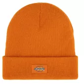 Čiapka DICKIES GIBSLAND AUTUMN MAPLE