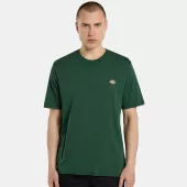 DICKIES Ss Mapleton t-shirt pine needle green vel. XL