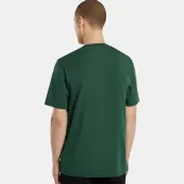 DICKIES Ss Mapleton t-shirt pine needle green vel. XL