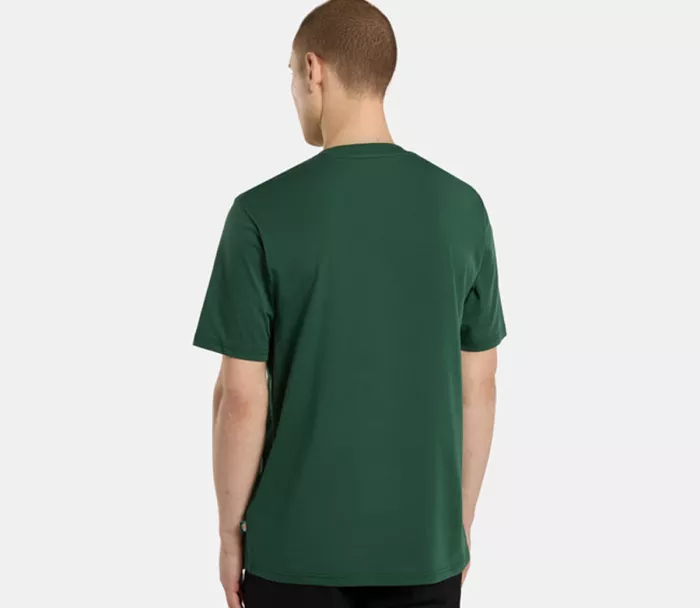 DICKIES Ss Mapleton t-shirt pine needle green vel. XL