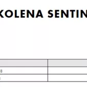 Kolenné chrániče na motokros Thor Sentinel black