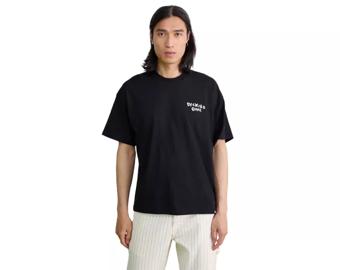 DICKIES Sneedville t-shirt black