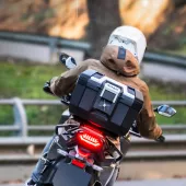 Vrchný kufor Shad Terra TR41 full black